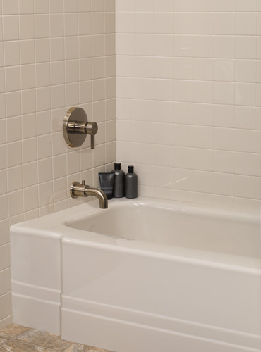 Majic fiberglass windows Michigan tub liner