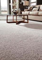 carpet-3