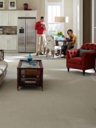 majic fiberglass windows carpet